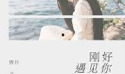娱乐圈小说爆料推文一口气看完,一场惊心动魄的娱乐圈风云录