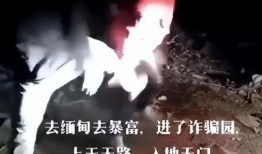爆料缅北高清视频大全最新